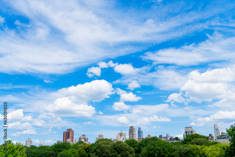 view of the Manhattan building in central park and the Upper East side in New York City surrounded by skyscraper view of the Manhattan building in central park and the Upper East side in New York City surrounded by skyscraper