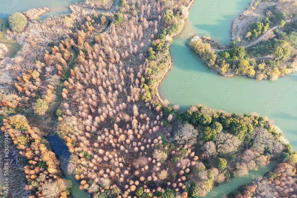 Aerial view, forests and lakes