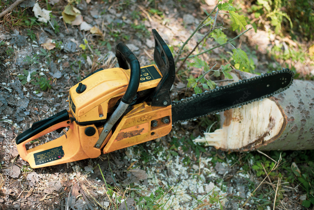 the chainsaw in the forest close up look
