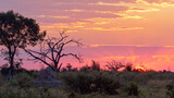 Amazing sunset over Okavango Delta, Botswana, Africa