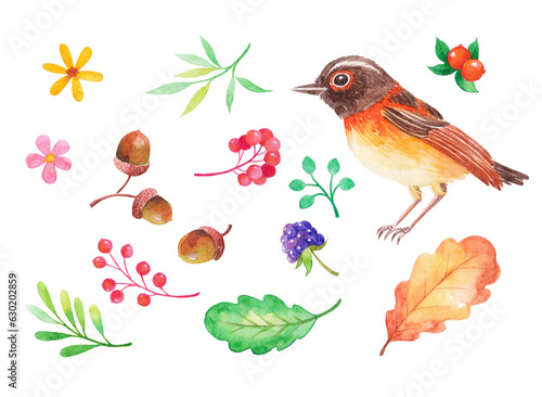 Autumn plants, leaves, acorns, berries, flowers, animals, birds watercolor hand-painted illustration