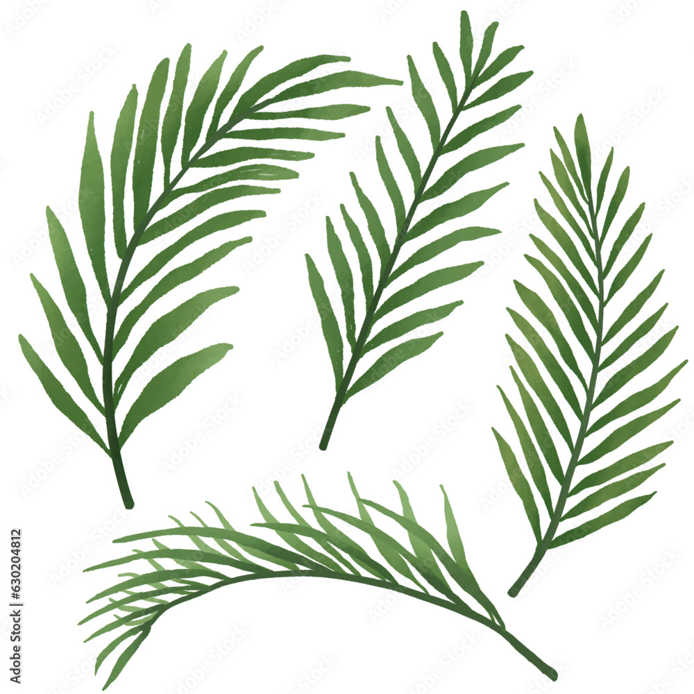 Tropical leaves, Set of watercolor tropical leaves, Green palm leaves