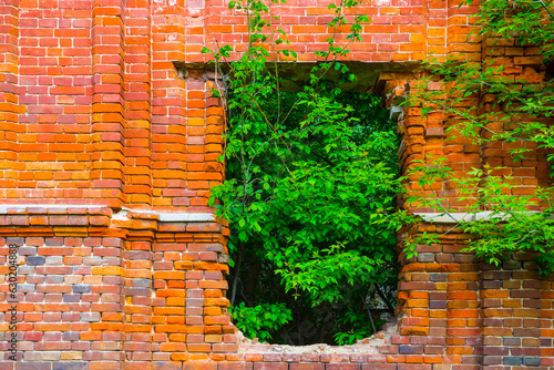 red brick with tree in window  abandoned ruined building scene