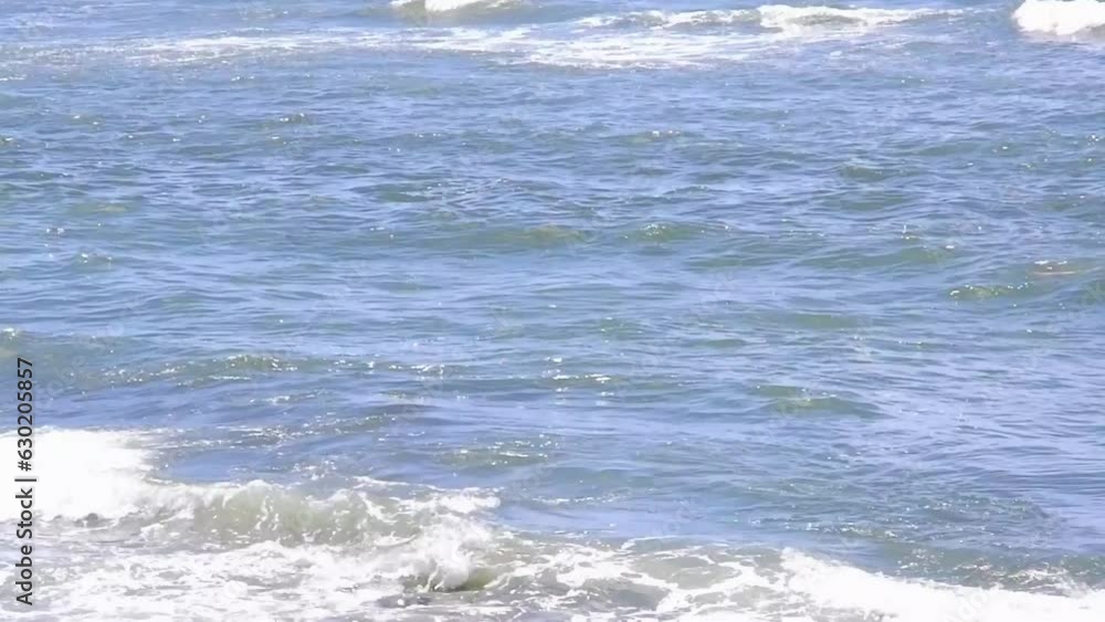 紺碧の海と、ゆっくりと寄せては返す波 紺碧の海と、ゆっくりと寄せては返す波