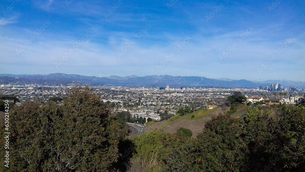 Los Angeles city in wide angle 16x9 view of landscape from hills with cityscape horizon and trees with sky copy space