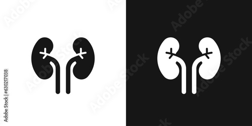Urinary kidneys vector icon. Human kidney and ureter, urinary system organ