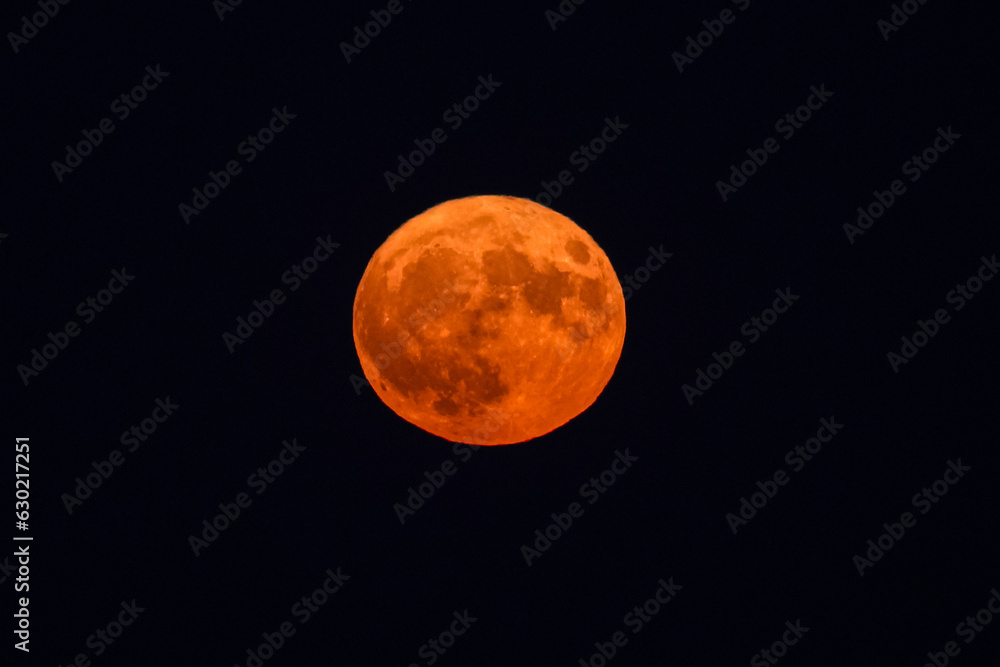 Naklejka premium Sturgeon super moonrise. Photo with super moon rising during 1st August 2023 evening, the only month with two full moons. Astronomy moon concept photo.
