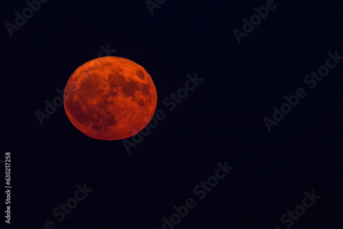 Fototapeta Naklejka Na Ścianę i Meble -  Sturgeon super moonrise. Photo with super moon rising during 1st August 2023 evening, the only month with two full moons. Astronomy moon concept photo.