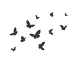 butterfly vector decorative