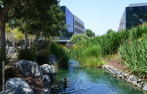 USA California Los Angeles Playa Vista May 8 2023 central park photo