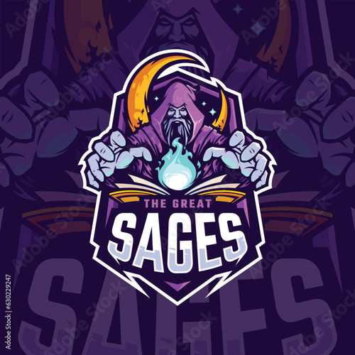 Wizard mascot vector illustration logo