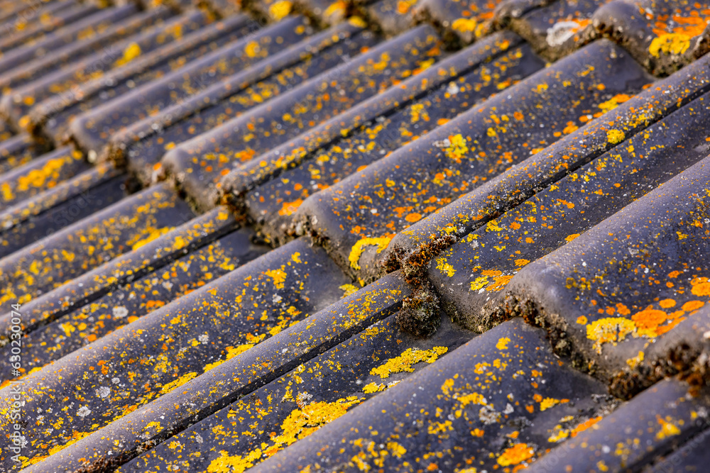 Obraz premium Roof tiles contaminated with moss and lichen on a house roof