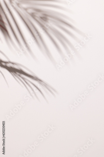 Close up of shadow of palm leaves and copy space on white background