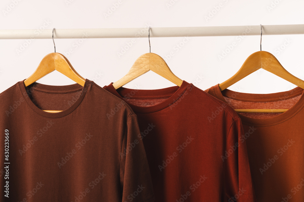 Obraz premium Three brown t shirts on hangers hanging from clothes rail and copy space on white background