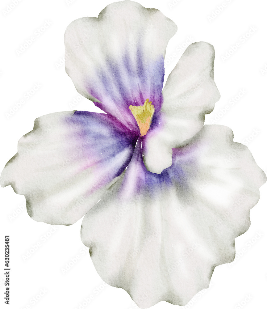 Naklejka premium White Watercolor Flower illustration
