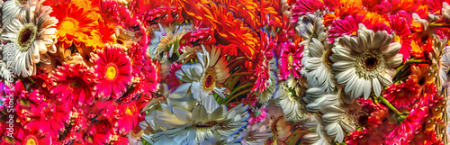 panorama of flowers from bright bouquets