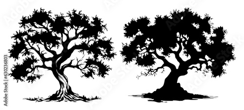 olive tree silhouette set illustration