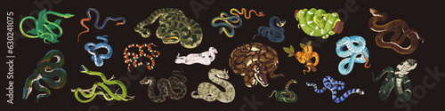 Bild auf Leinwand Dangerous snakes set