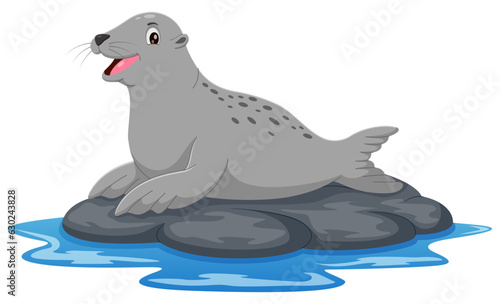 Cartoon sea lion on the rock isolated on white backround. Vector illustration