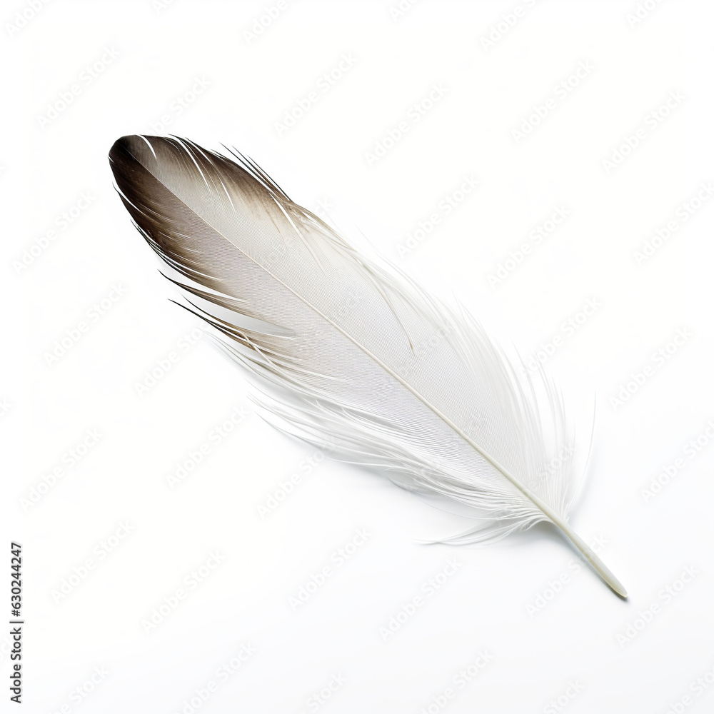 Obraz premium Feather on a white background AI Generative