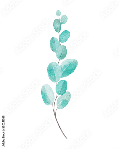 watercolor botanical illustration with branch