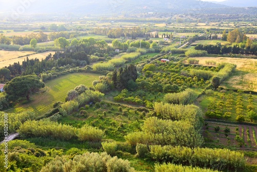 Orchards of Sardinia  Italy
