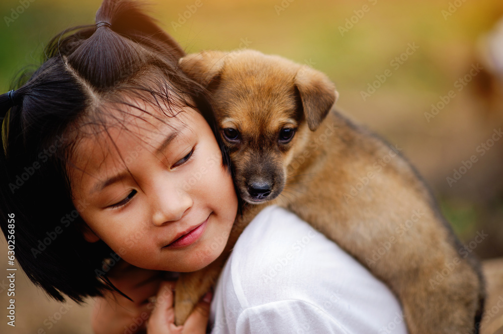 little girl and dog Love between man and dog Bonding of children and intelligent pets playing in the backyard love concept little girl and dog Love between man and dog Bonding of children and intelligent pets playing in the backyard love concept