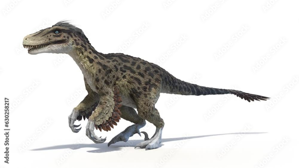Animation of a Utahraptor walking Animation of a Utahraptor walking