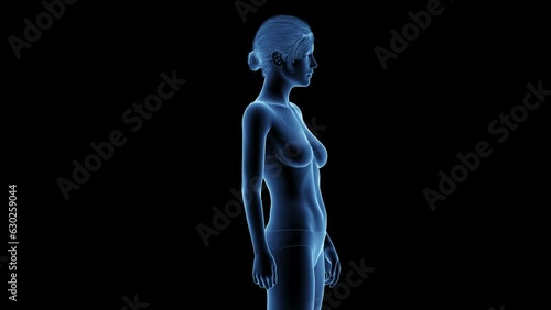 Animation of a woman after breast enhancement 