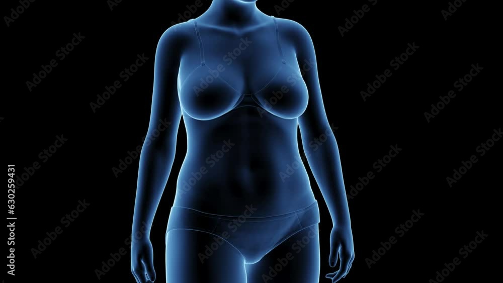 Animation of a woman's transition from fat to fit Animation of a woman's transition from fat to fit