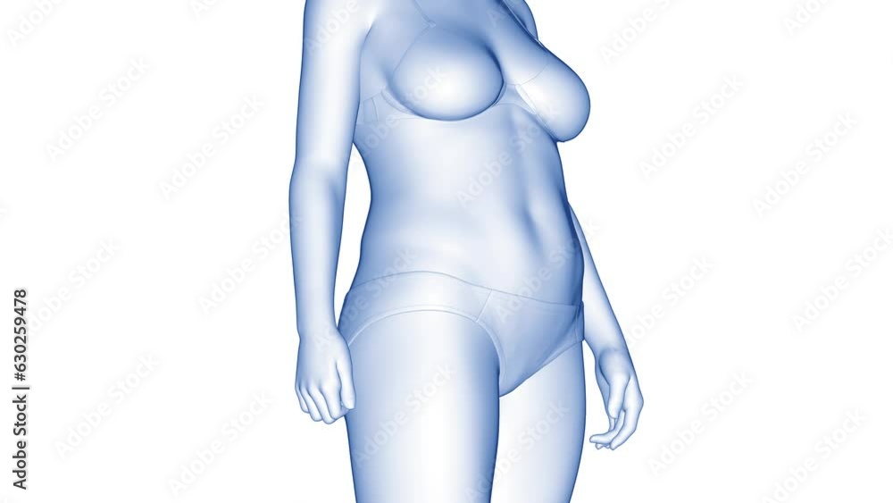 Animation of a woman's fitness transformation Animation of a woman's fitness transformation