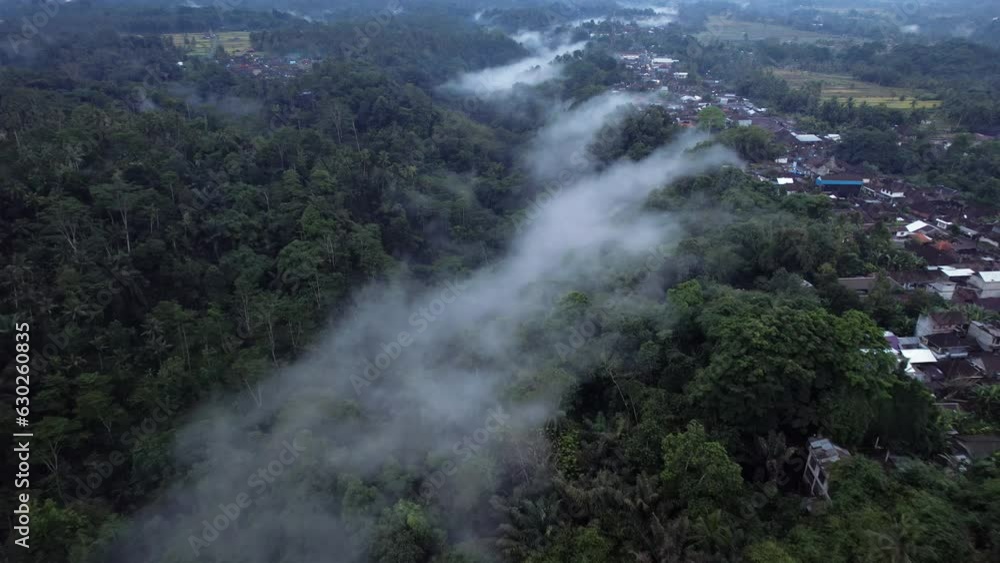 White clouds of fog over forested ravine, aerial shot of Bali countryside in dusk. Condensation formations over wet jungles after rain, village seen at right side. Camera fly at some height White clouds of fog over forested ravine, aerial shot of Bali countryside in dusk. Condensation formations over wet jungles after rain, village seen at right side. Camera fly at some height
