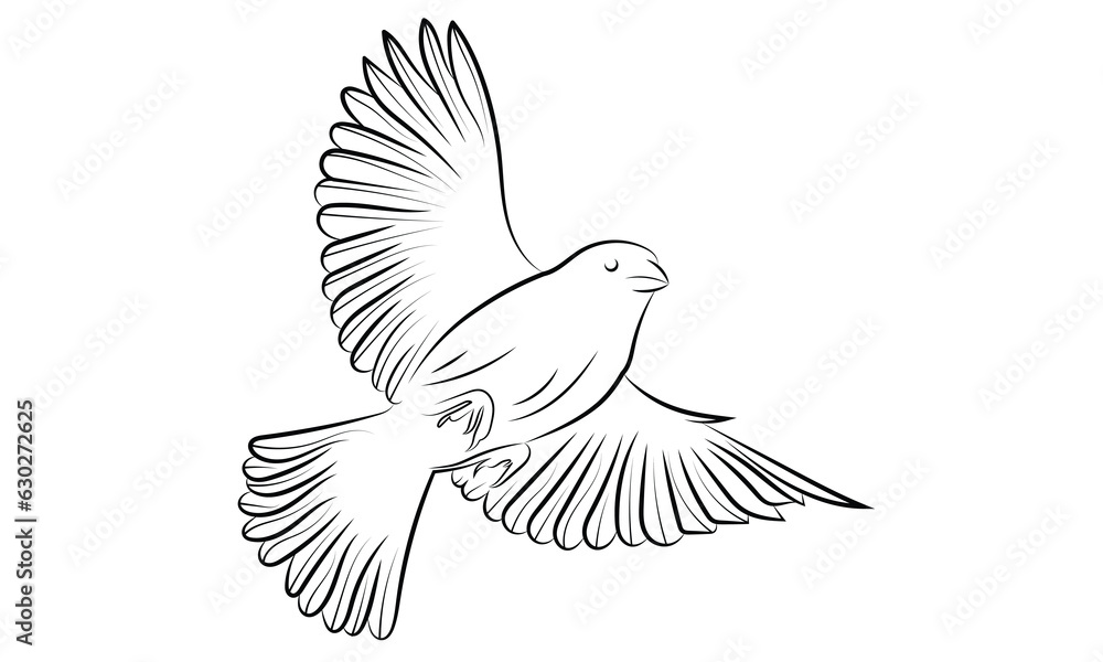 Obraz premium Bird flying line art Black and white illustration.