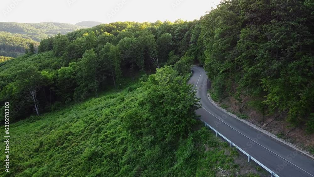 Aerial View of a Car Passing by on a Road at a Forest during Summer Aerial View of a Car Passing by on a Road at a Forest during Summer