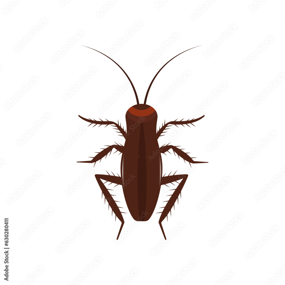Cockroach insect vector icon above pest. Brown animal top view cartoon bug. Flat body parasite pollution