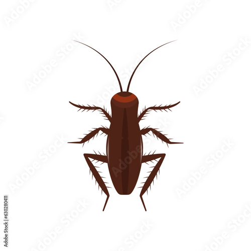 Obraz na płótnie Cockroach insect vector icon above pest. Brown animal top view cartoon bug. Flat body parasite pollution w salonie