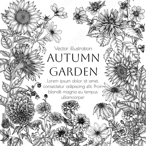 Vector illustration of autumn flowers. Dahlia, cosmos, zinnia, marigold, calendula, rudbeckia, sunflower in engraving style