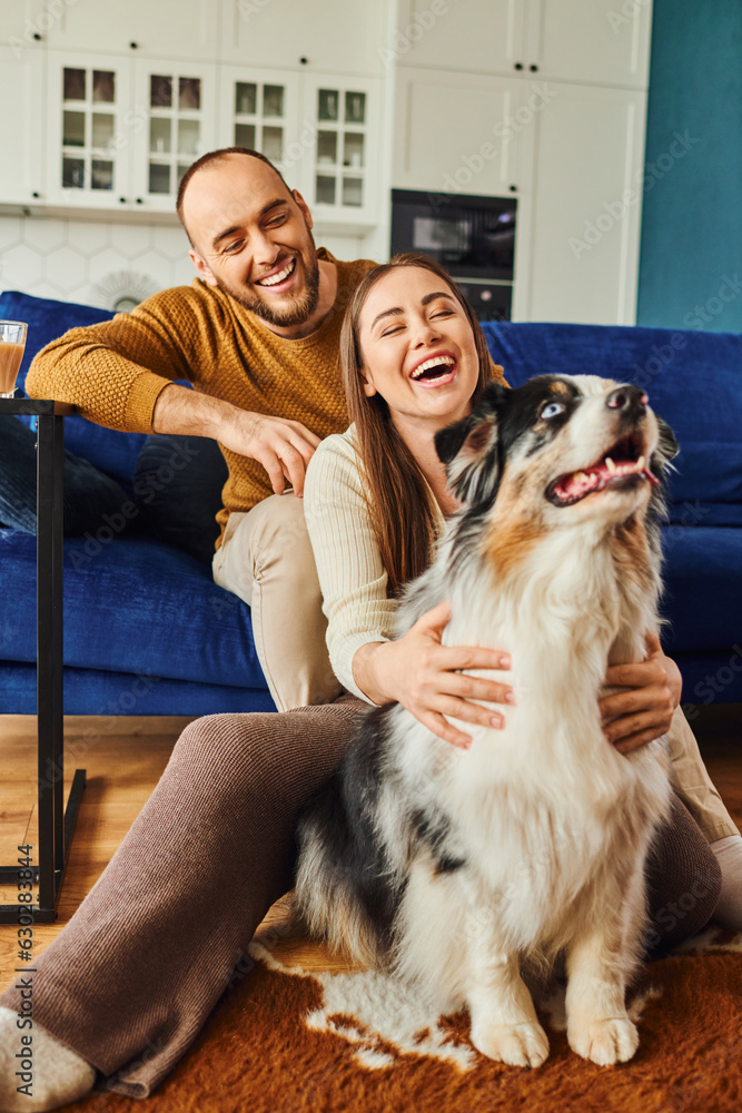 Cheerful woman in casual clothes hugging border collie and sitting near boyfriend on couch at home Cheerful woman in casual clothes hugging border collie and sitting near boyfriend on couch at home
