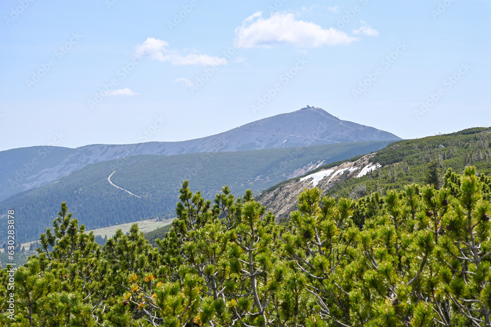 Fototapeta premium Wanderung von der Spindlerbaude zur Scheekoppe -St. Peter Spindlermühle