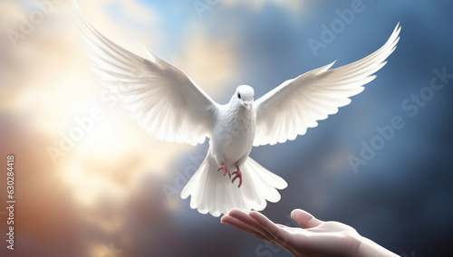 Hand Holding a White Dove. Symbol of Peace, Love, and Hope. Freedom in Flight, a Message of Faith and Happiness. Conceptual idea of Connection and Cooperation.