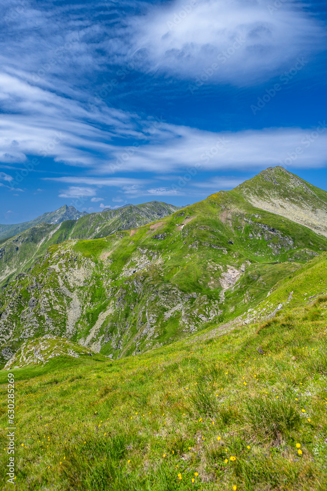 The Mount Iezerul Caprei. Summer landscape of the Fagaras Mountains, Romania. A view from the hiking trail near the Balea Lake and the Transfagarasan Road.