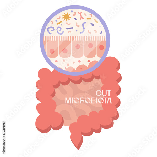 Epithelium of gits. Human microbiome and intestine anatomical clipart. Microbiota and surface area of intestinal walls. Intestinal villi and epithelial cells. Digestive system vector illustration