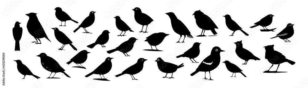 Fototapeta premium Black silhouette bird set isolated on white background. Vector illustration