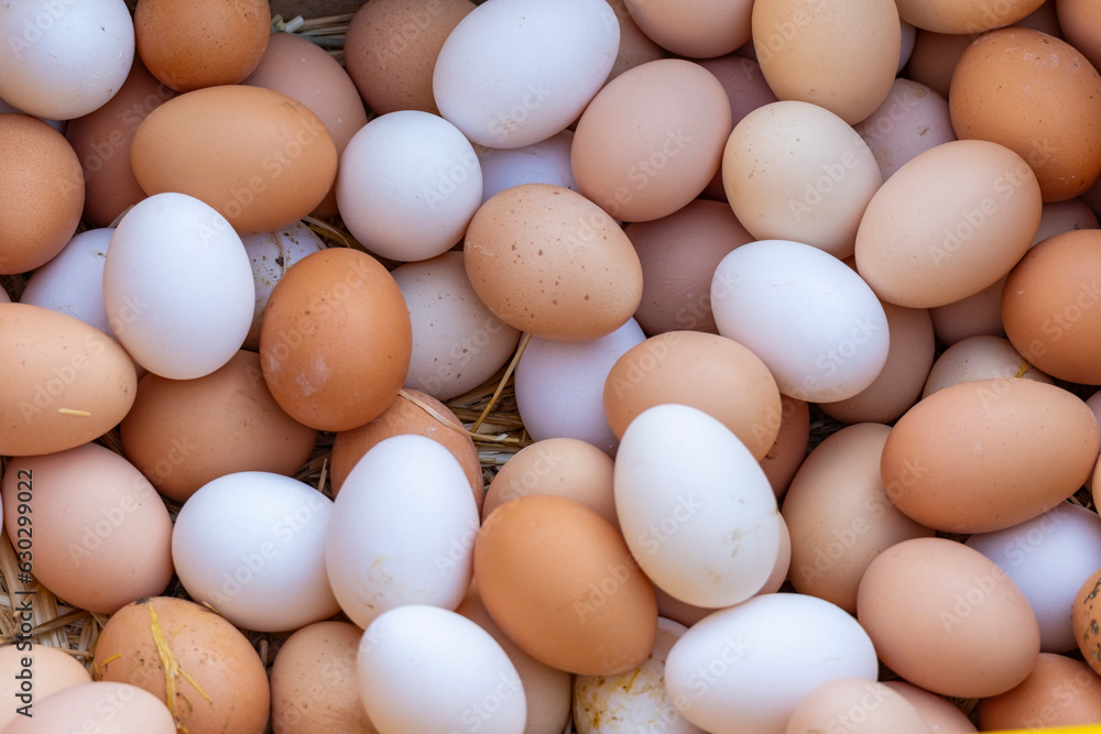 Chicken eggs, fresh, organic and ecological, white and brown, on a straw base in a wooden box for sale in a street market Chicken eggs, fresh, organic and ecological, white and brown, on a straw base in a wooden box for sale in a street market