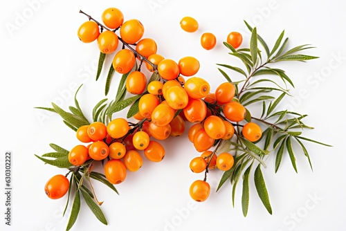Close-up of orange sea buckthorn berries on a branch isolated on white background. photo
