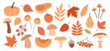 Vector set of hand-drawn autumn plants, leaves, pumpkins, mushrooms