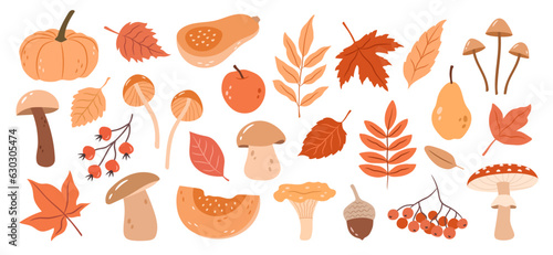 Foto Vector set of hand-drawn autumn plants, leaves, pumpkins, mushrooms
