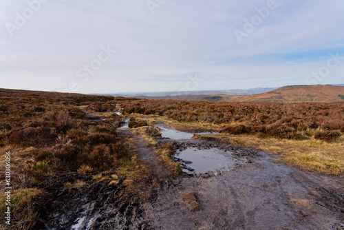Mud and icy puddles on the footpaths across Burbage Edge.