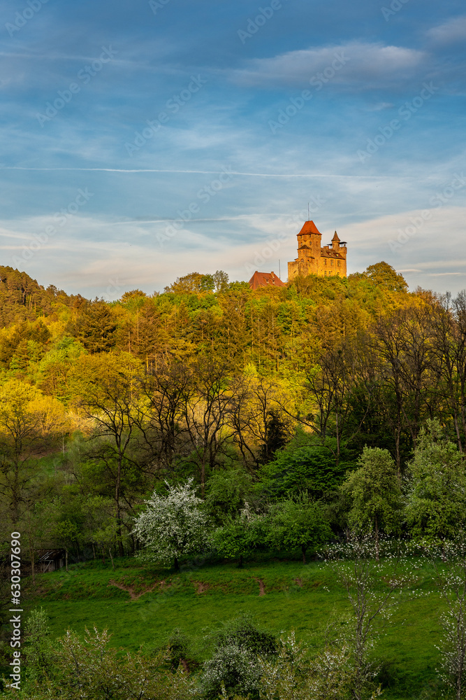 Burg Berwartstein im späten Sonnenlicht