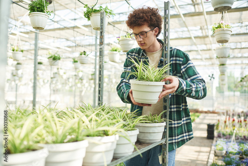 In checkered shirt. Young man with curly hair and in glasses is in greenhouse